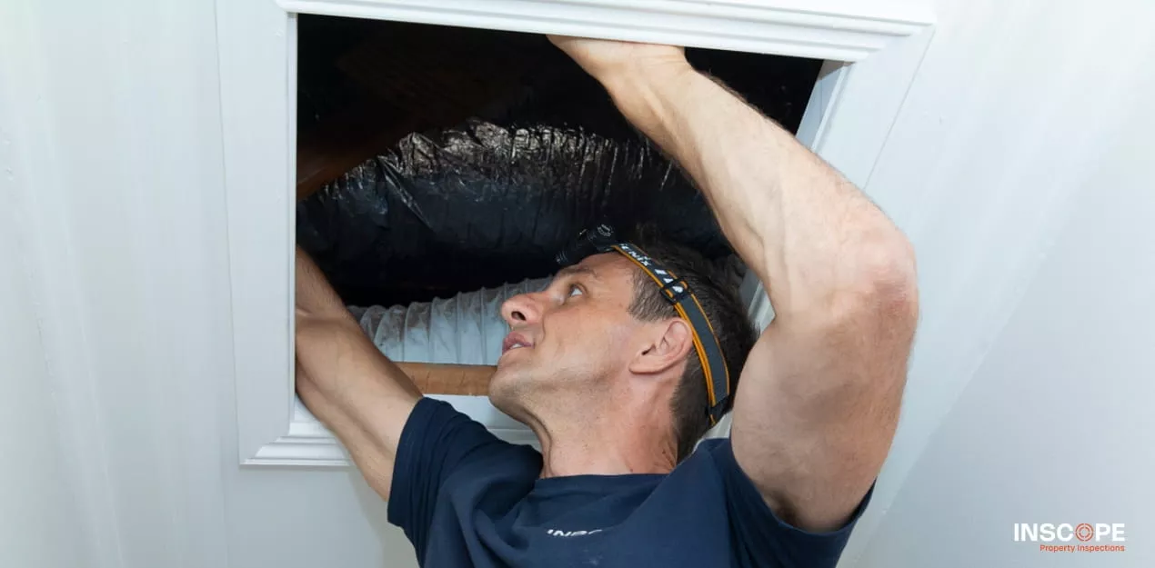 Building inspector wearing a headlamp inspecting a roof cavity during a Melbourne pre-purchase building inspection.